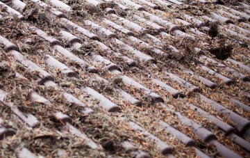 Barrack Hill roof cleaning companies